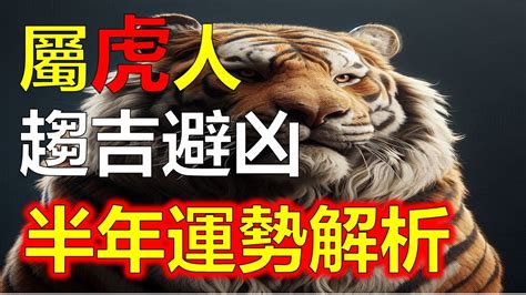 屬虎2023下半年運勢|2023下半年生肖運勢：屬鼠桃花旺、屬狗運勢吉利、。